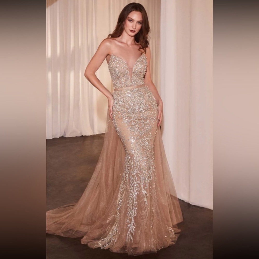 Strapless Glittering Champagne Evening Gown